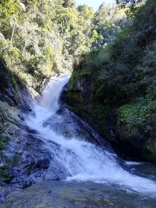 Cabana Vista A Las Montanas De Manabao