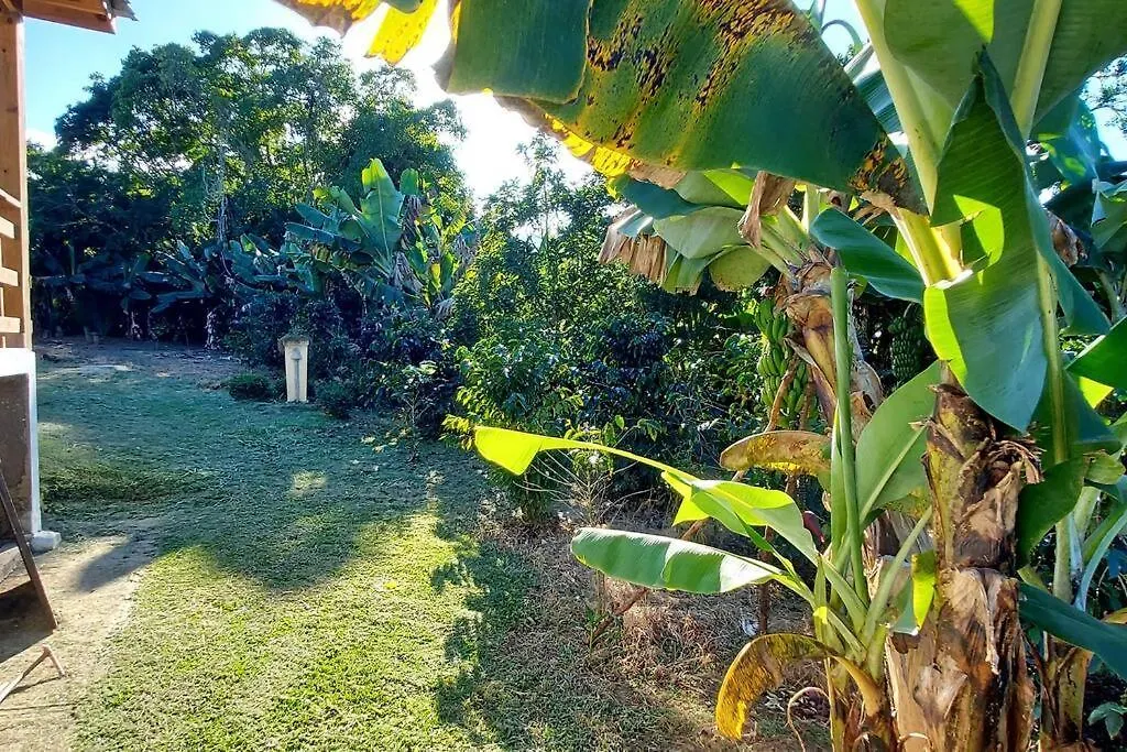 Cabana Vista A Las Montanas De Manabao República Dominicana